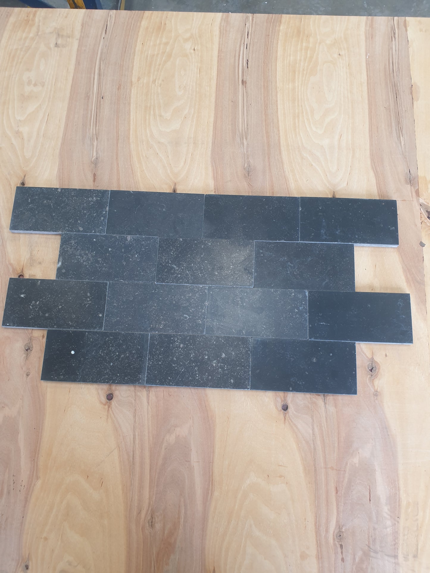 Belgium Fossil 150 x 75 x 10mm