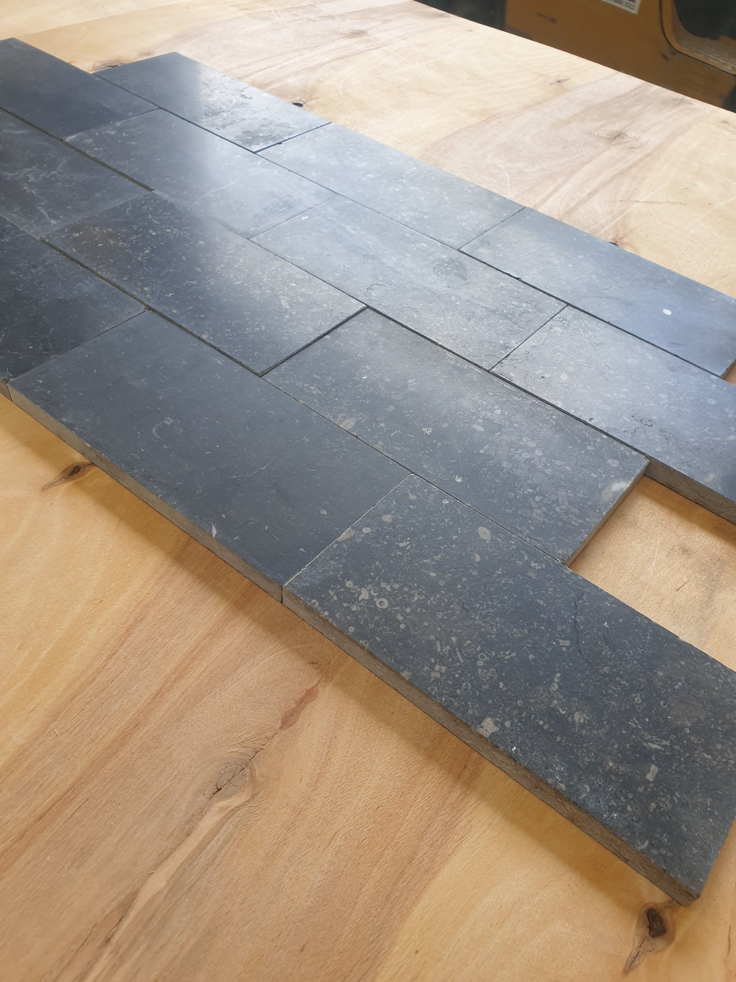 Belgium Fossil 150 x 75 x 10mm