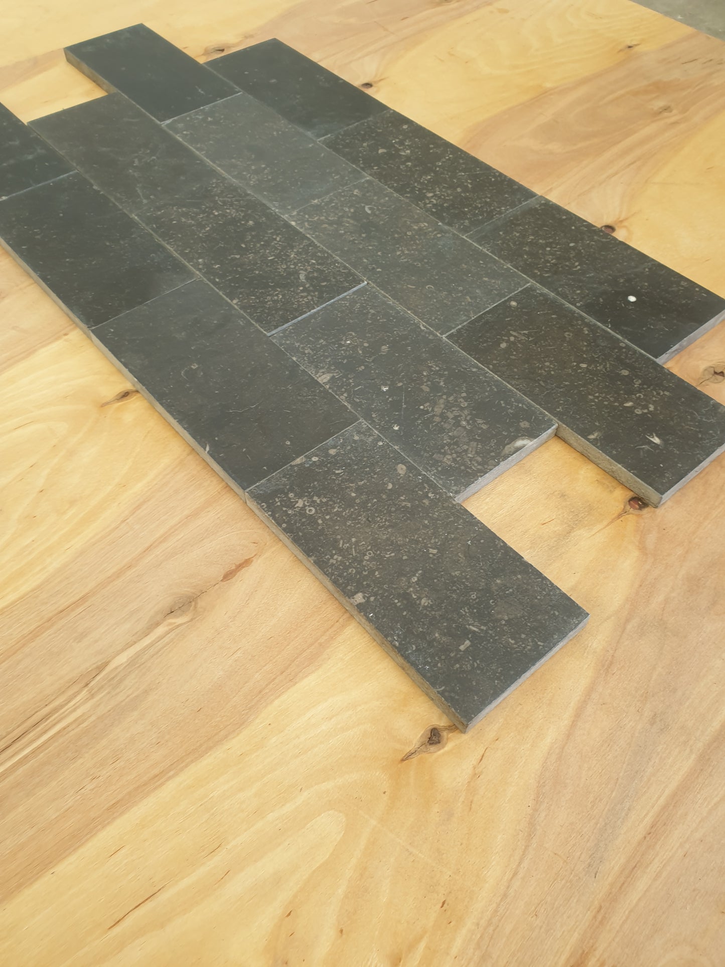 Belgium Fossil 150 x 75 x 10mm