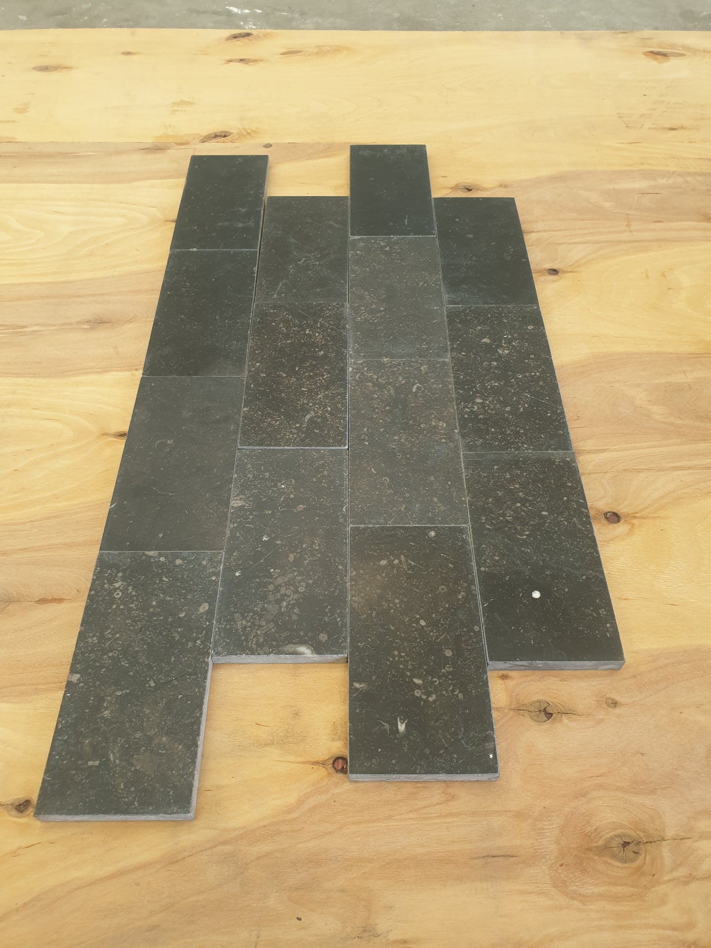 Belgium Fossil 150 x 75 x 10mm